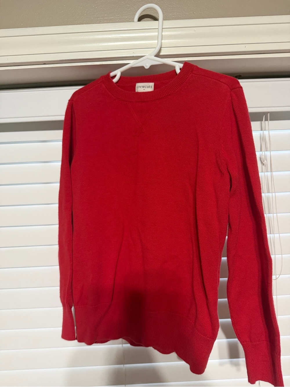Crewcuts Red Knit Crewneck Sweater